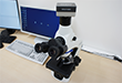 顕微鏡・デジタルビデオカメラとモニター